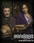 Sondage